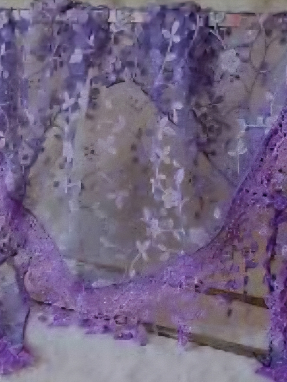 2 Sheer Floral Lace Mantilla Veil Head Scarf - Picture 3 of 4